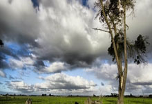 如何实现90分钟足球比分的免费调用？